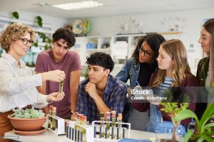 istockphoto-2227836068-1024×1024