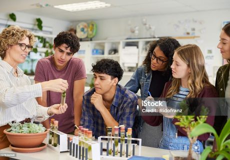Mature science teacher showing sample in test tube to a group of multiethnic students during classroom activity. High school guys and girls gathered around table to observe biology experiment involving plant specimen. Group of young college classmates working on science project at school.